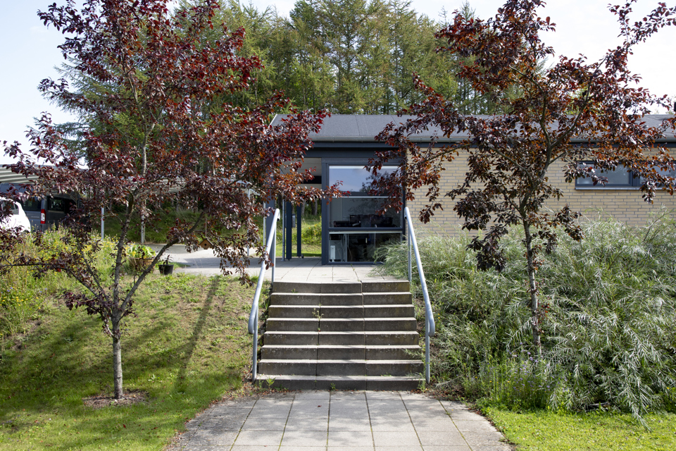 Trappen foran Holmehøj