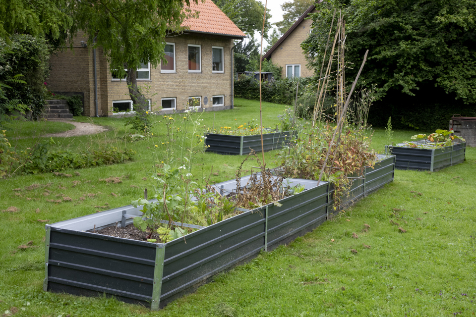 Højbede ved Teglgårdsparken
